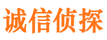 集贤侦探公司